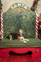 SantaPaws2019-0326
