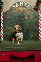 SantaPaws2019-0327