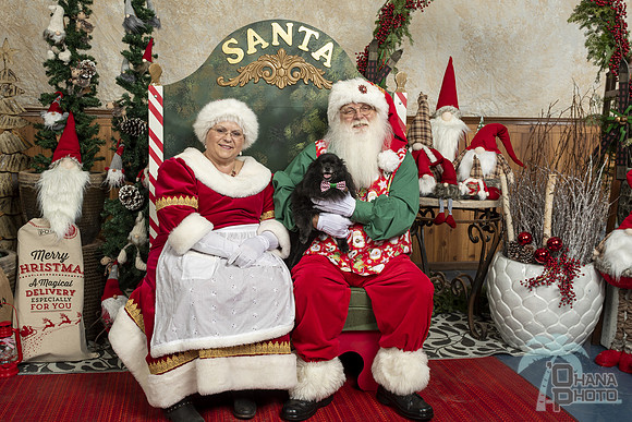 SantaPaws2019-0392
