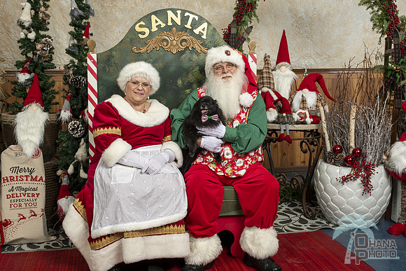 SantaPaws2019-0393