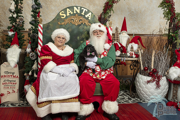 SantaPaws2019-0394