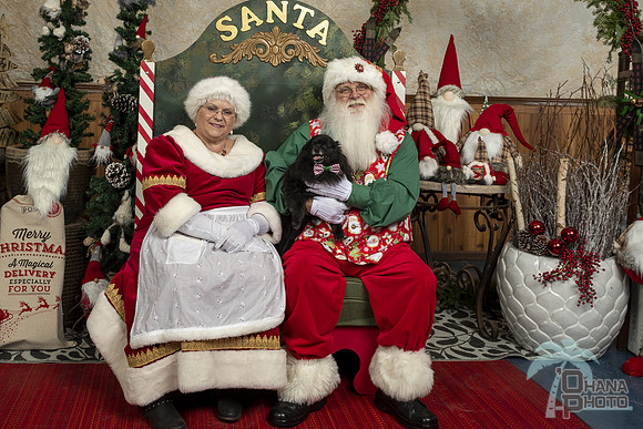 SantaPaws2019-0395