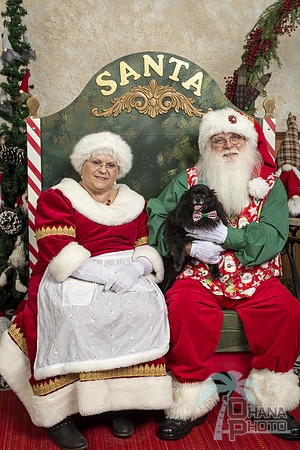 SantaPaws2019-0397
