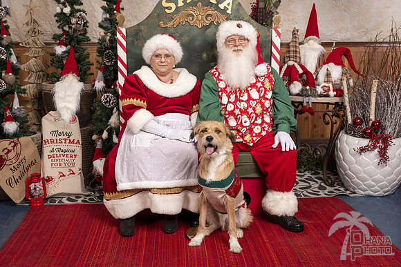 SantaPaws2019-0422