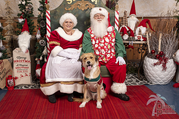 SantaPaws2019-0424