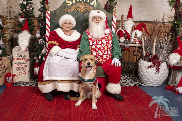 SantaPaws2019-0423