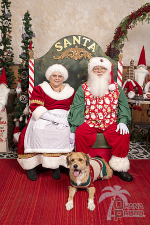 SantaPaws2019-0427