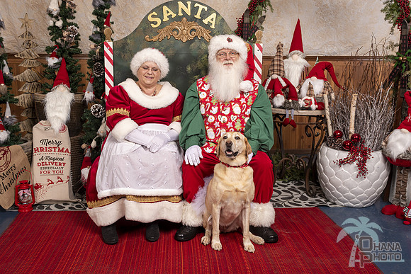SantaPaws2019-0445