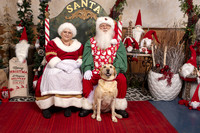 SantaPaws2019-0447
