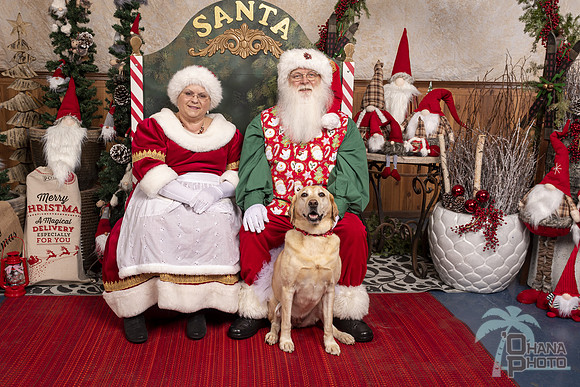 SantaPaws2019-0447
