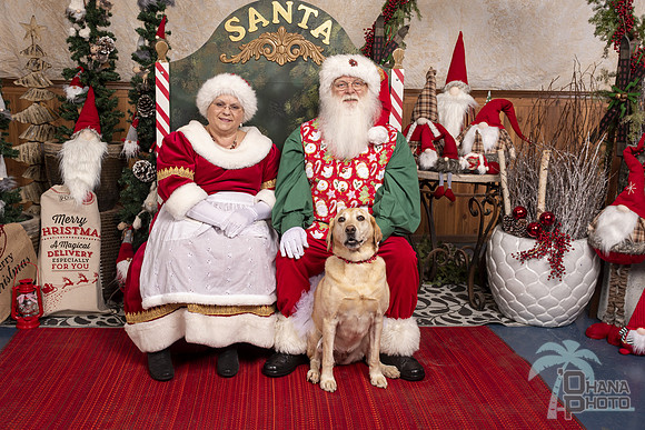SantaPaws2019-0448