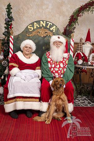 SantaPaws2019-0494