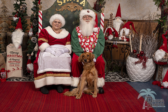 SantaPaws2019-0498