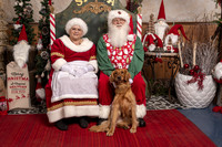 SantaPaws2019-0499