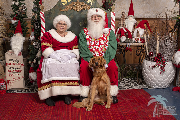 SantaPaws2019-0499