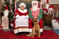 SantaPaws2019-0500