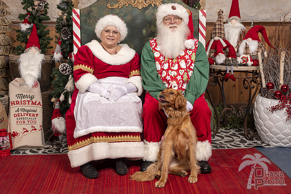 SantaPaws2019-0500