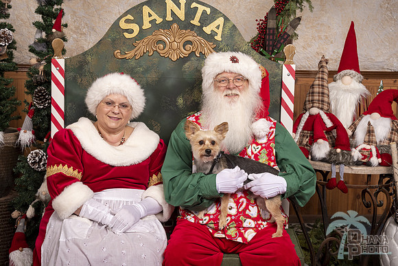 SantaPaws2019-0504