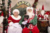 SantaPaws2019-0535