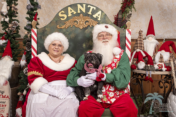SantaPaws2019-0535