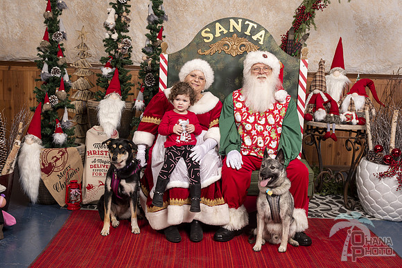 SantaPaws2019-0552