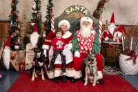 SantaPaws2019-0553