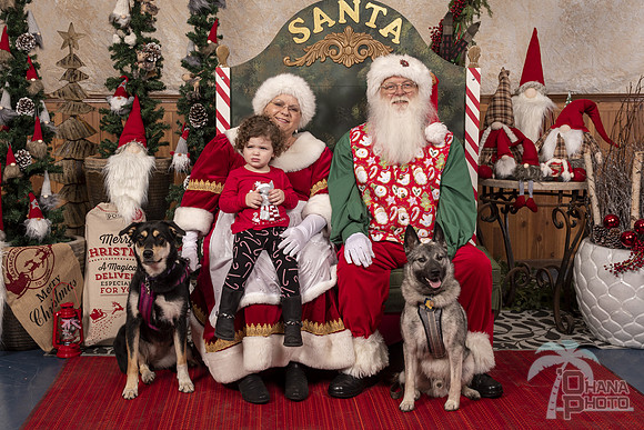 SantaPaws2019-0554