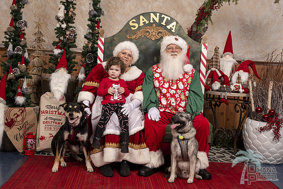 SantaPaws2019-0555