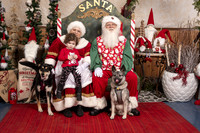 SantaPaws2019-0560