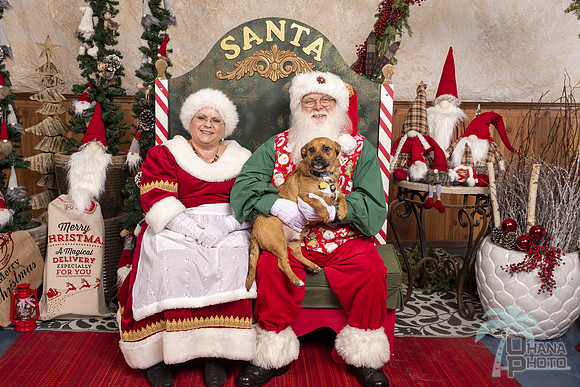 SantaPaws2019-0569