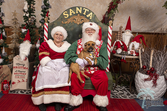 SantaPaws2019-0570