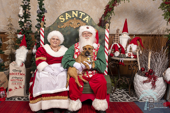 SantaPaws2019-0571