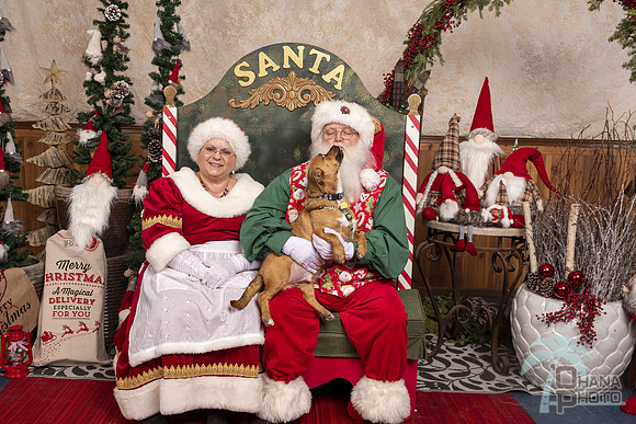 SantaPaws2019-0573