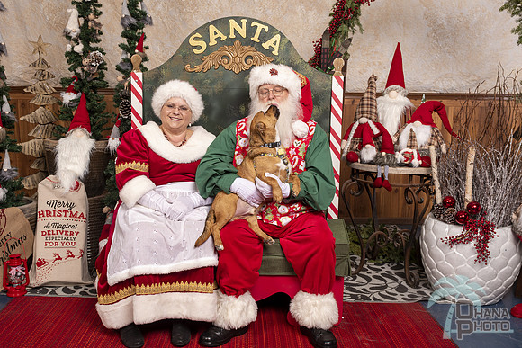 SantaPaws2019-0574