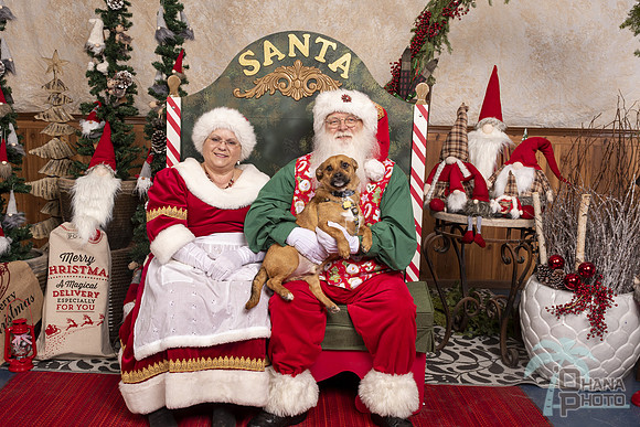 SantaPaws2019-0575