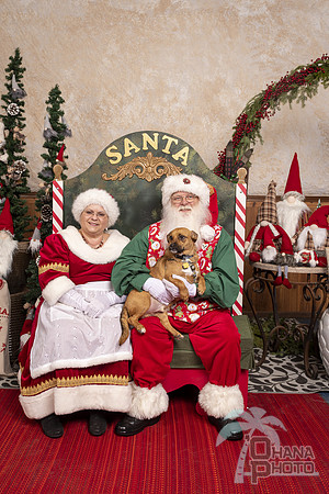 SantaPaws2019-0577