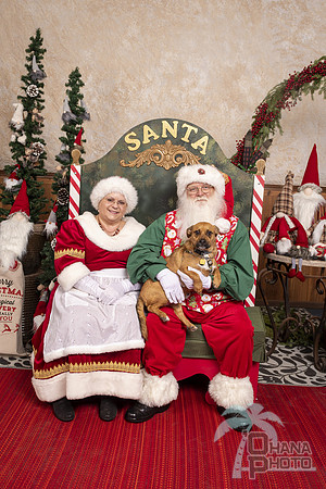 SantaPaws2019-0578