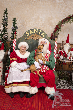 SantaPaws2019-0579