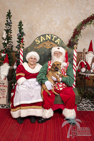 SantaPaws2019-0580