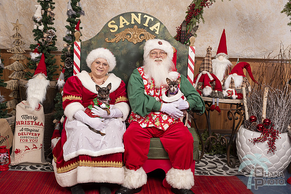 SantaPaws2019-0584
