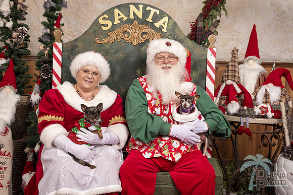 SantaPaws2019-0587