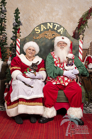 SantaPaws2019-0589