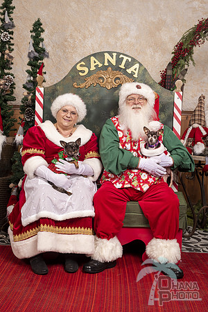 SantaPaws2019-0590