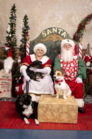 SantaPaws2019-0599