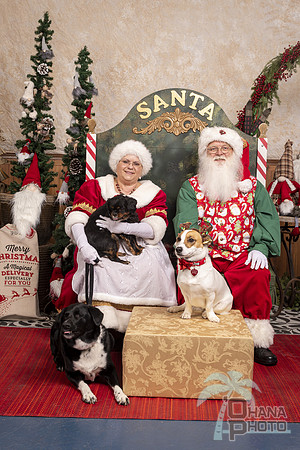 SantaPaws2019-0599