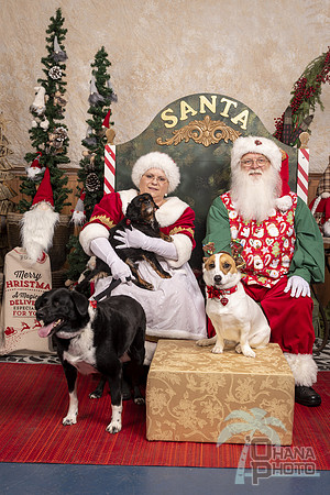 SantaPaws2019-0600