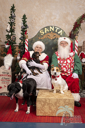 SantaPaws2019-0601