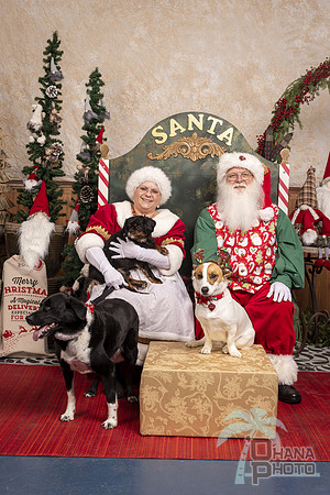 SantaPaws2019-0603