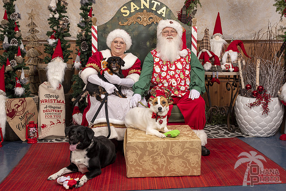 SantaPaws2019-0604