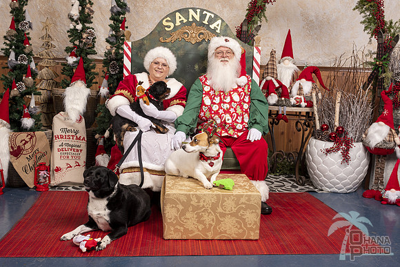 SantaPaws2019-0605